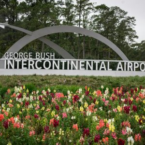 Bush Airport Travel