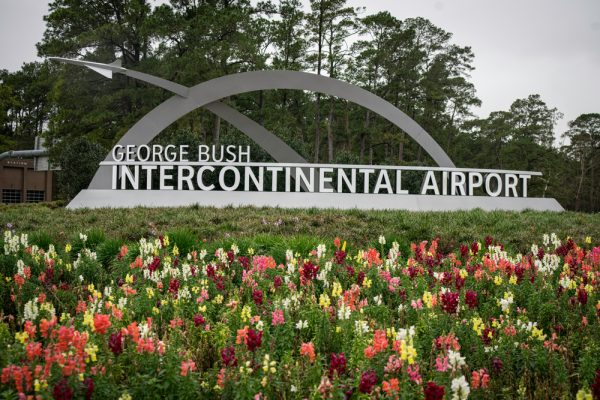 Bush Airport Travel